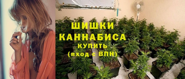 сатива Заречный